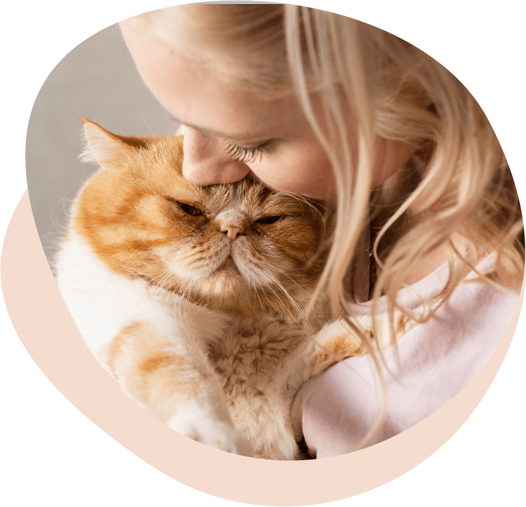 about n bg 3 | About Us