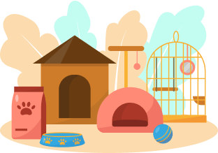 about n img 2 | About Us