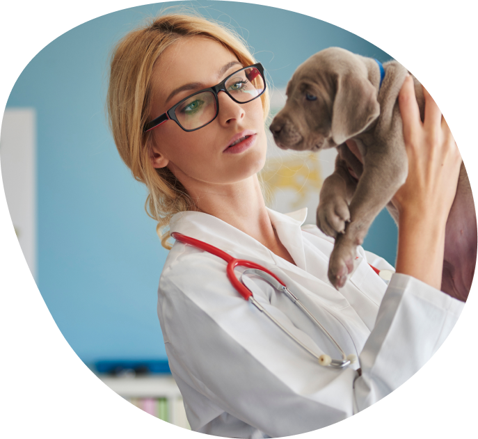 about n team 1 | About Us