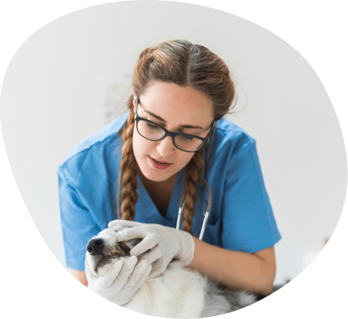 about n team 2 | About Us