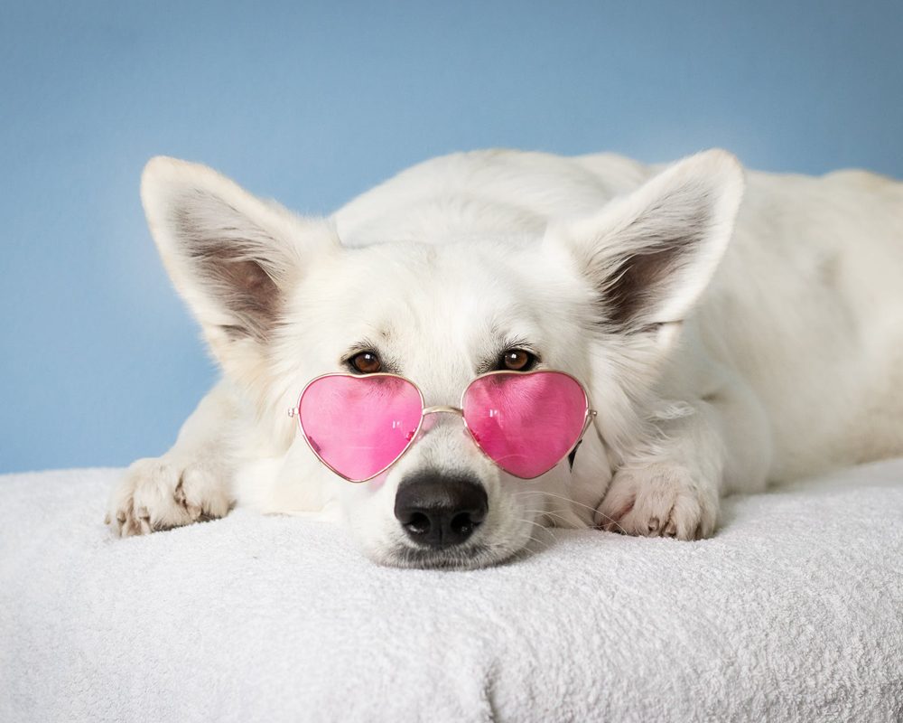 b p 1 | Analysing Potential Problem