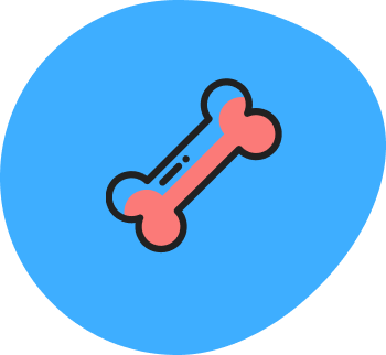 home n1 cat 2 | Pawtical Home home n1 cat 2 | Pawtical Home