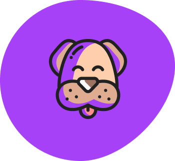 home n1 cat 3 | Pawtical Home home n1 cat 3 | Pawtical Home