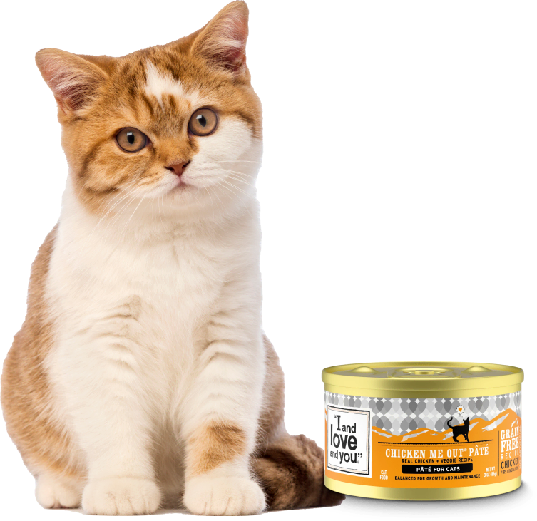 home n1 l 2 | Pawtical Home