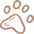 home n1 l 3 | Pawtical Home