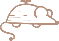 home n1 l 5 | Pawtical Home