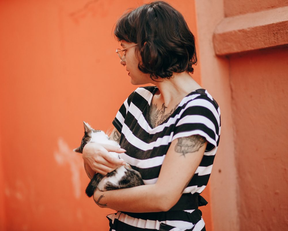 p g s 2 | Special care on Your Lovely Pets by Veterinary physician