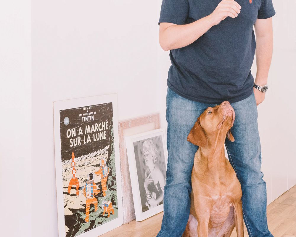 p g s 3 | Training for pets to behave like a social friend