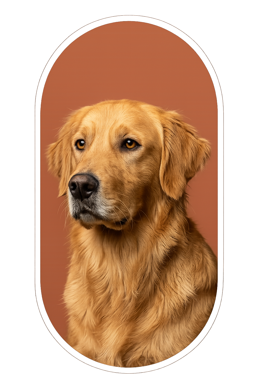 about us hero section